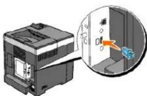 DELL 2130cn - Fjernelse af den trådløse printeradapter - 4