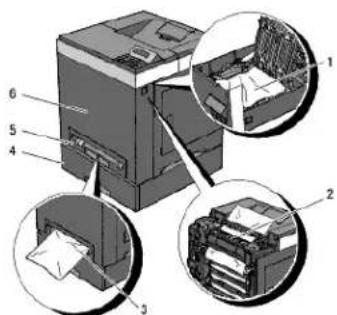 DELL 2130cn - Identifikation af stedet for papirstop - 1