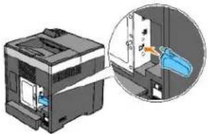 DELL 2130cn - Installation af den trådløse printeradapter - 2