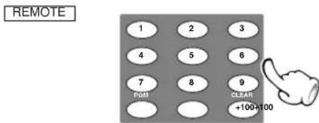 REMOTE 1 2 3 4 5 6 7 8 9 POM CLEAR +100-100