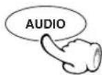KENWOOD DVT-6100K - VCD Selecting the Audio channel - 1