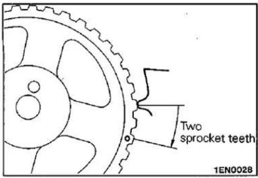 Two sprocket teeth 1EN0028
