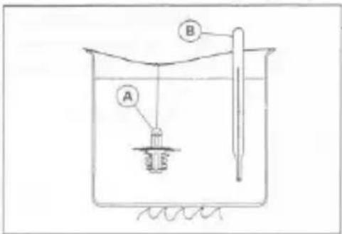 Diagram of a scientific apparatus setup with labeled components A and B, showing a submerged object in a beaker with a rod.