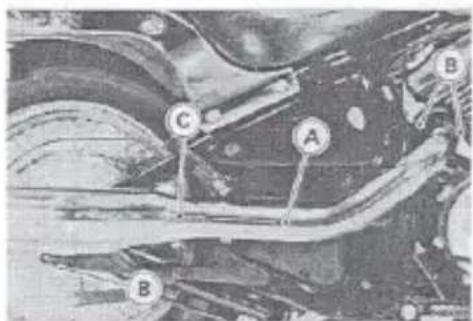 Microscopic image with labeled points A, B, and C indicating specific cellular or structural features