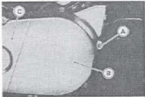 Medical or anatomical diagram with labeled points A, B, and C, likely indicating specific regions or structures.