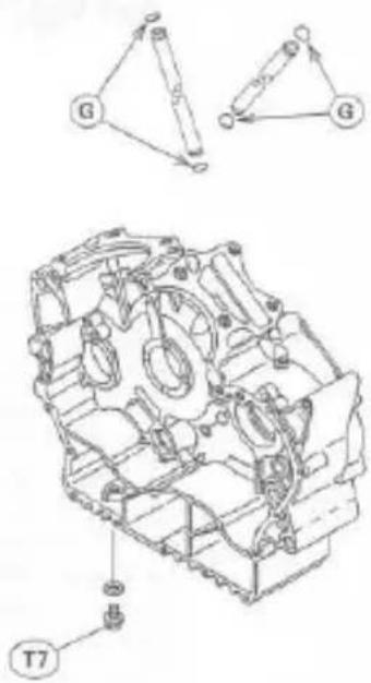 Technical diagram of an engine cylinder assembly with labeled components including G, T7, and a valve mechanism.