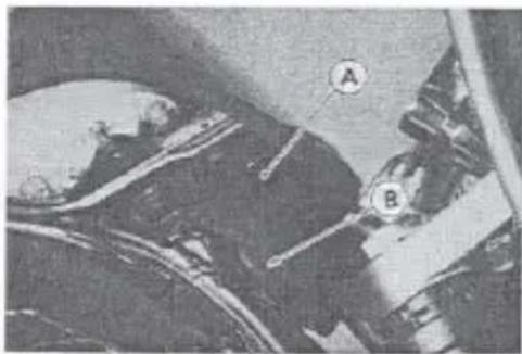 Microscopic image with labeled regions A and B, likely from a scientific or medical study.
