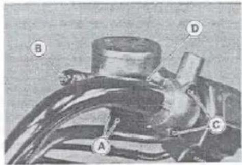 Medical diagram of a heart valve with labeled parts A, B, C, and D