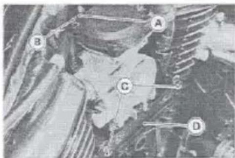 Medical or anatomical image with labeled points A, B, C, and D indicating specific regions or structures.