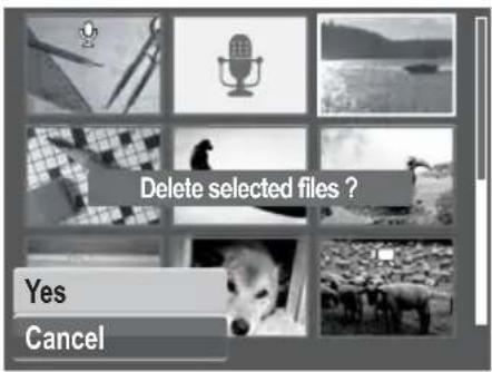 Delete selected files ? Yes Cancel