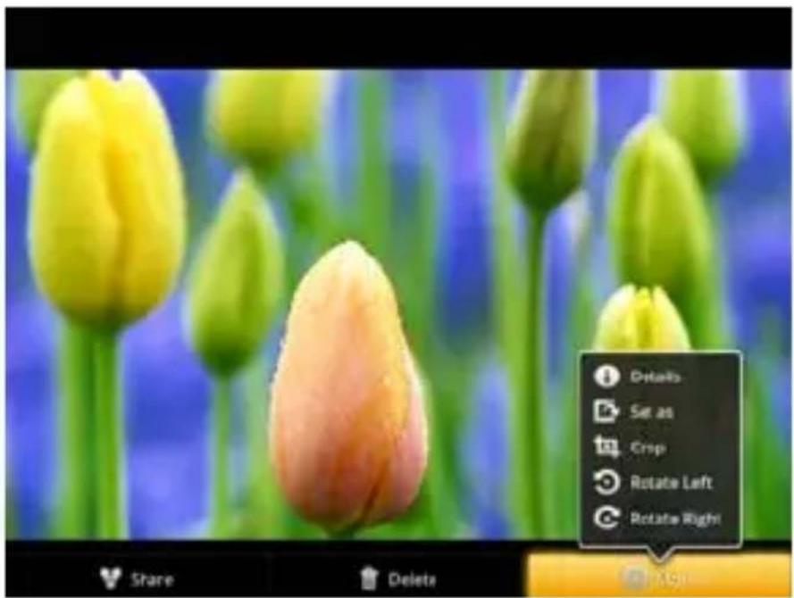 Details Set as Crop Rotate Left Rotate Right Share Delete
