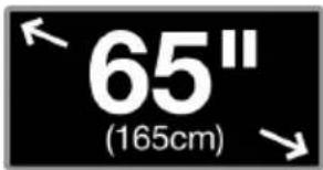 65" (165cm)