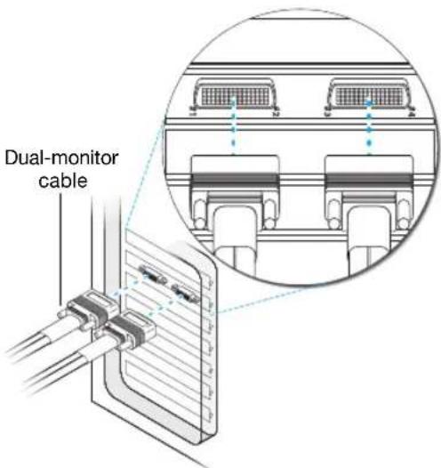 Dual-monitor cable