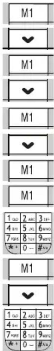 M1 ✓ M1 ✓ M1 ✓ M1 M1 1 OLD 2 ABC 3 DEF 4 SH 5 JL 6 MNO 7 POPS 8 TSH 9 MWEY * + 0 - #A## M1 ✓ 1 OLD 2 ABC 3 DEF 4 SH 5 JL 6 MNO 7 POPS 8 TSH 9 MWEY * + 0 - #A#