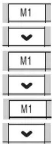 M1 ✓ M1 ✓ M1 ✓