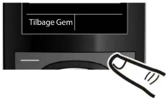 Tilbage Gem