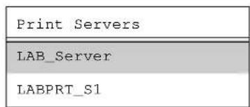 Print Servers LAB_Server LABPRT_S1