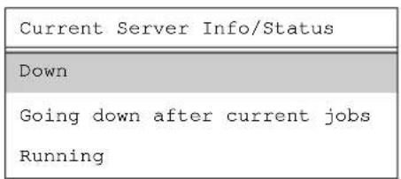 Current Server Info/Status Down Going down after current jobs Running