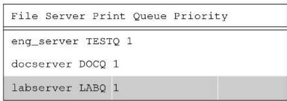 File Server Print Queue Priority eng_server TESTQ 1 docserver DOCQ 1 labserver LABQ 1