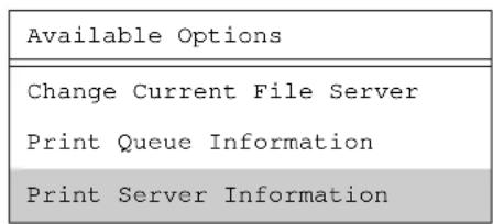 Available Options Change Current File Server Print Queue Information Print Server Information
