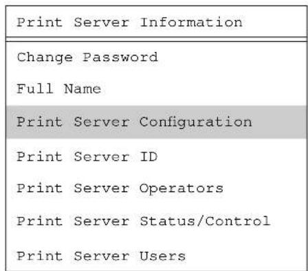Print Server Information Change Password Full Name Print Server Configuration Print Server ID Print Server Operators Print Server Status/Control Print Server Users