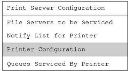 Print Server Configuration File Servers to be Serviced Notify List for Printer Printer Configuration Queues Serviced By Printer