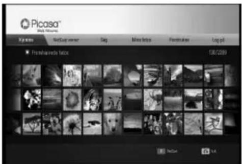 Picasa™ Web Library My name NetLup view Date Miss format Format folder Log p6 ■ FreshImage files 08/2009
