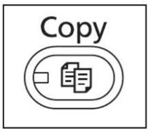 Copy