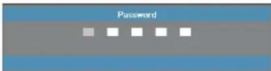 Password