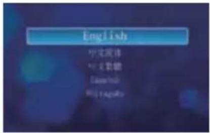 English 中文版体 中文版籍 English 我的文档