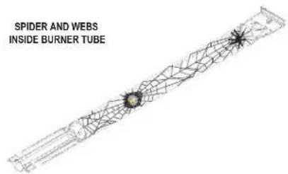 SPIDER AND WEBS INSIDE BURNER TUBE