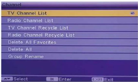 Channel TV Channel List Radio Channel List TV Channel Recycle List Radio Channel Recycle List Delete All Favorites Delete All Group Rename Select OK Enter EXIT Exit