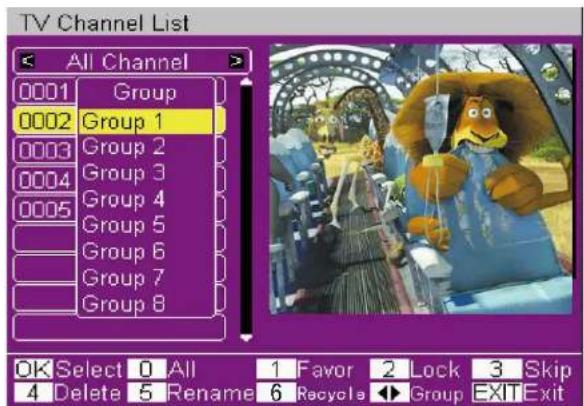 TV Channel List All Channel > 0001 Group 0002 Group 1 0003 Group 2 0004 Group 3 0005 Group 4 Group 5 Group 6 Group 7 Group 8 OK Select 0 All 1 Favor 2 Lock 3 Skip 4 Delete 5 Rename 6 Recycle ▶ Group EXIT Exit