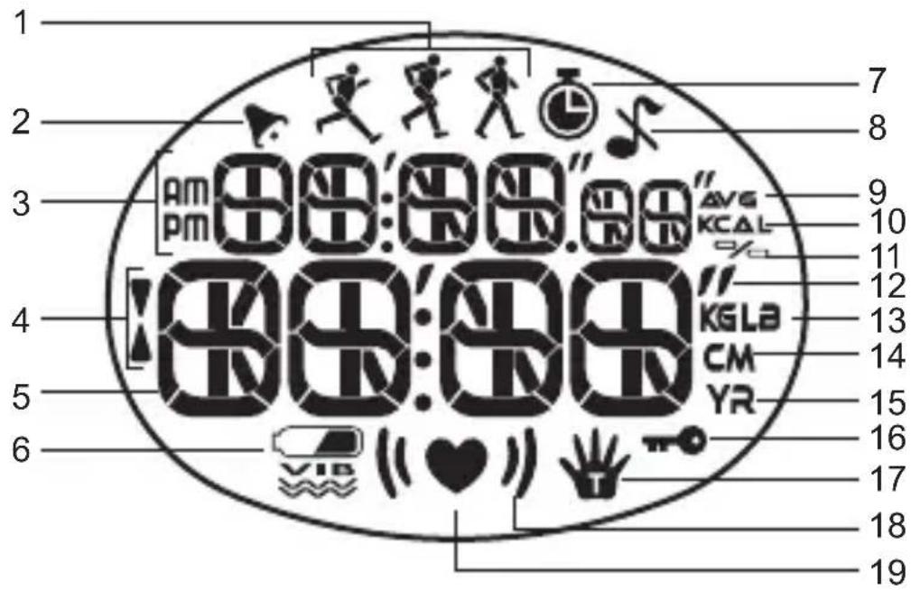 1 2 3 4 5 6 7 8 9 10 11 12 13 14 15 16 17 18 19 AM PM 88:88.88" AVG KCAL % 88:88.88" KGLA CM YR