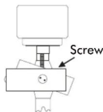 Screw