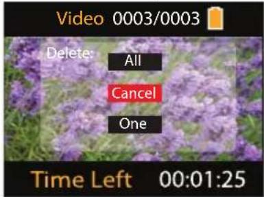 Video 0003/0003 Delete: All Cancel One Time Left 00:01:25