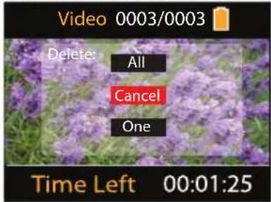 Video 0003/0003 Delete: All Cancel One Time Left 00:01:25