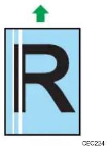 R CEC224