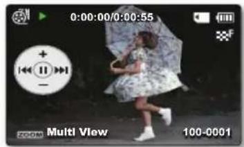 0:00:00/0:00:55 + - Multi View 100-0001
