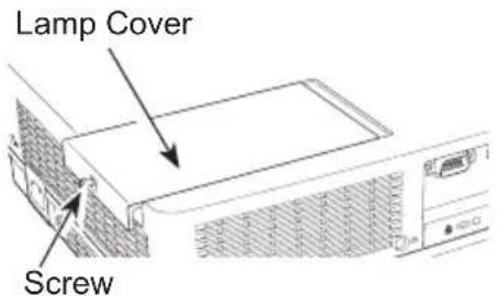 Lamp Cover Screw