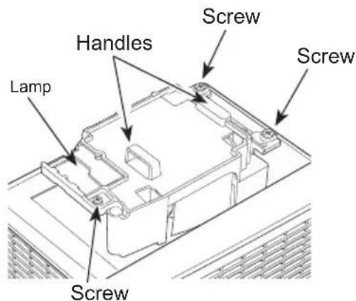 Lamp Handles Screw Screw Screw