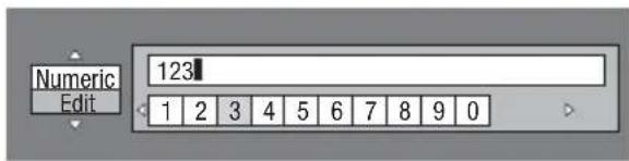 Numeric Edit 123 1 2 3 4 5 6 7 8 9 0