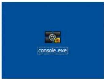 console.exe