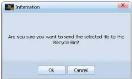 Are you sure you want to send the selected file to the Recycle Bin?