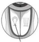 SINGER Classic Finish - Expulsión de vapor vertical - 2