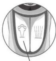 SINGER Classic Finish - Vertical Burst of Steam - 2