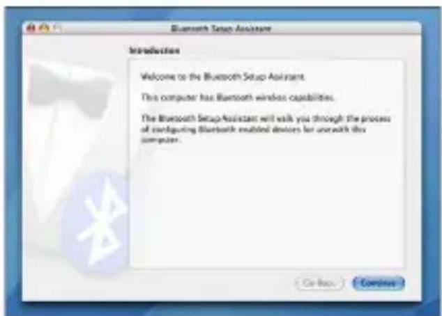 Bluetooth Setup Assistant Introduction Welcome to the Bluetooth Setup Assistant. This computer has Bluetooth wireless capabilities. The Bluetooth Setup Assistant will walk you through the process of configuring Bluetooth enabled devices for use with this computer.