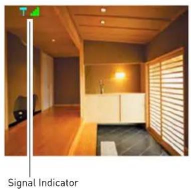 Signal Indicator