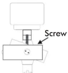 Screw