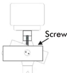 Screw